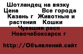 Шотландец на вязку › Цена ­ 1 000 - Все города, Казань г. Животные и растения » Кошки   . Чувашия респ.,Новочебоксарск г.